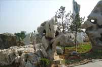 ͼƬƣTHS025
1154
