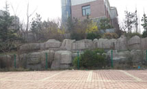 ͼƬƣJS020
635